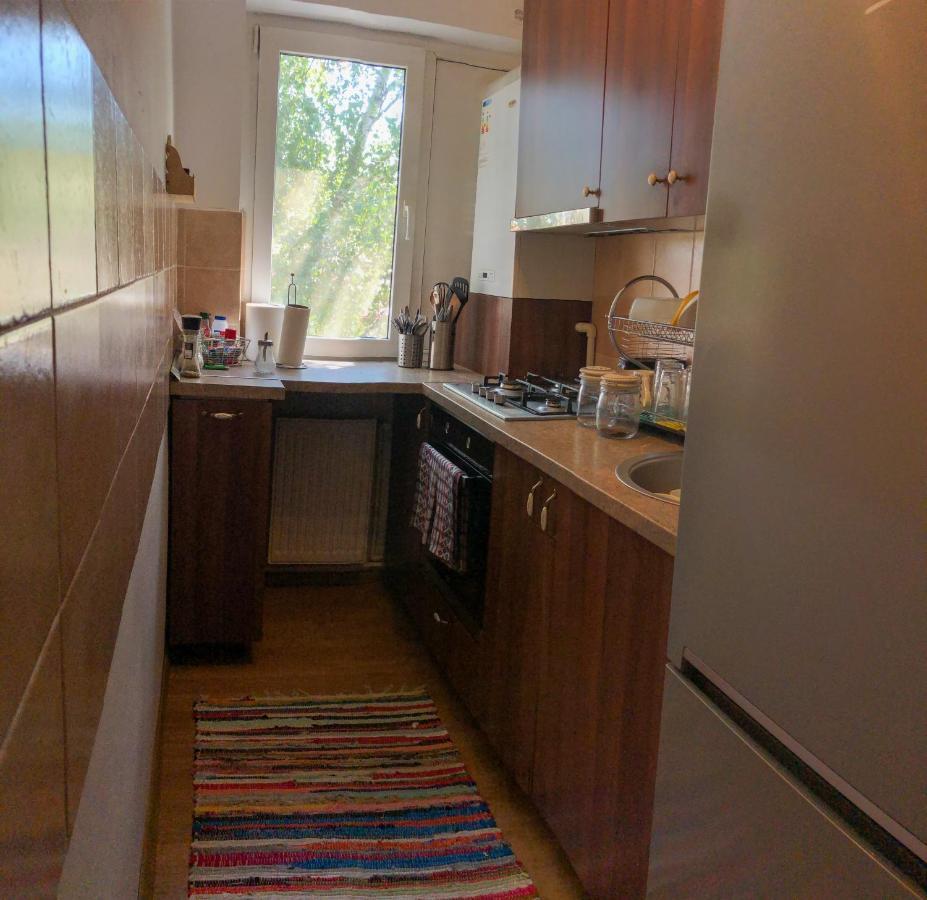 Cozy Apartment Bukovina Suceava Exterior photo
